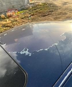 بی ئێم دەبڵیو سیریەس 5